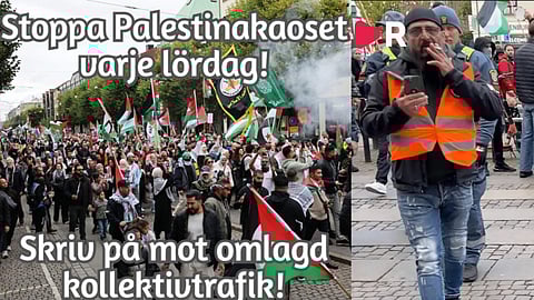Namninsamling mot Palestinademonstrationerna når nära 1 000 underskrifter