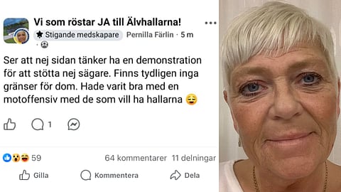 Till vänster - Skärmdump på Pernilla Färlins inlägg. Till höger: Pernilla Färlin (M)