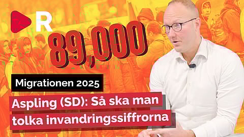 SD-toppen om uppehållstillstånden: Få som stannar permanent