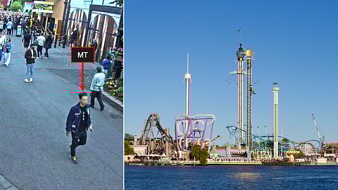 En afghansk medborgare onanerade bakom en kvinna på nöjesparken Gröna Lund.