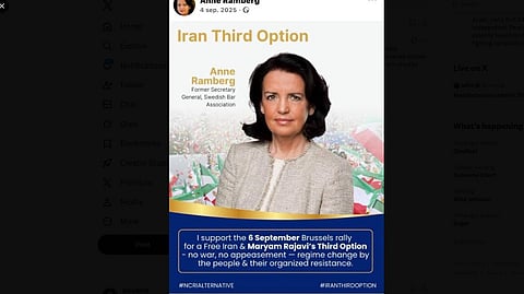 Anne Ramberg var tidigare generalsekreterare i Sveriges advokatsamfund.