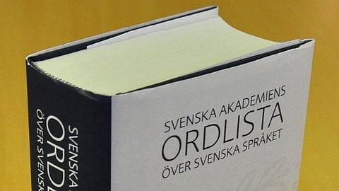 Nya förslag: Tolkavgift och förbud mot barntolkning