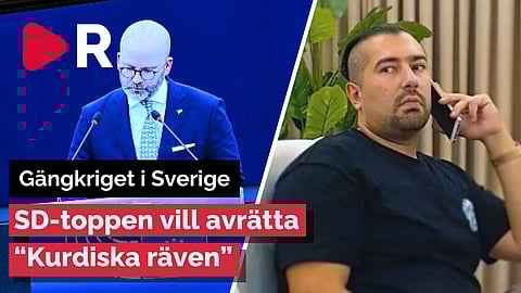 SD-toppen Weimers vill avrätta "Kurdiska räven" – Ta hjälp av USA