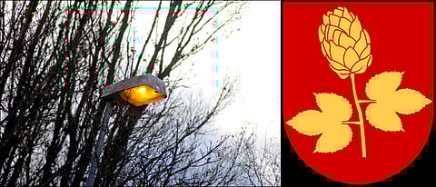 Mio Tastas Viktorsson, gruppledare för Tierpslistan