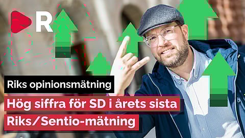 Opinionen: Sverigedemokraterna avslutar året med högt stöd