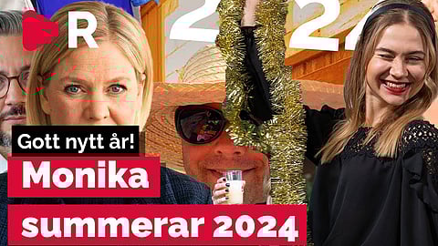 Gott nytt år! Monika summerar politikåret 2024