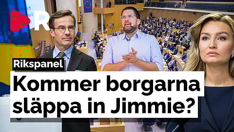 Ska Jimmie Åkesson in i regeringen? Nu höjs röster för det