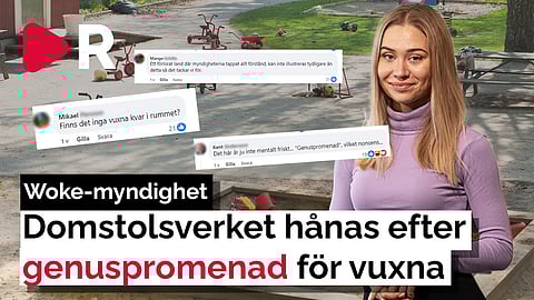 Domstolsverket hånas efter woke genuspromenad för vuxna