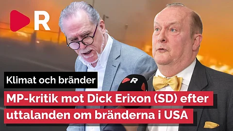 Miljöpartiets ilska på Dick Erixon (SD) – SD-politikern ger svar på tal