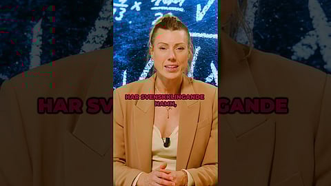 Skola i Lund DO-anmäls: "Diskriminering"