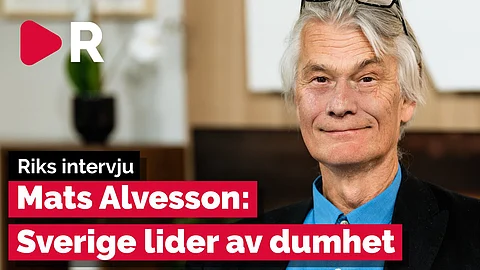 Mats Alvessson: Sverige lider av funktionell dumhet