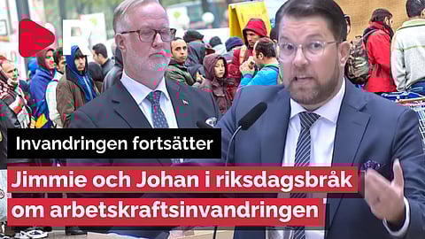 Nu kom det: SD och L har börjat bråka om arbetskraftsinvandringen