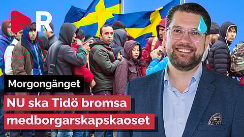 Morgongänget: NU ska Tidö bromsa medborgarskapskaoset