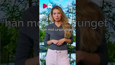 Kritik mot nya mångkulturella Saltkråkan