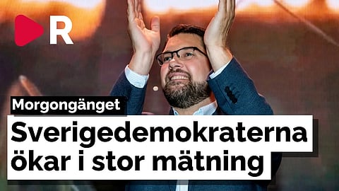Morgongänget: Sverigedemokraterna ökar i stor mätning