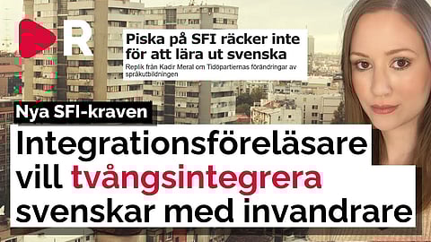 Experten: Svenskar ska tvångsintegreras med invandrare