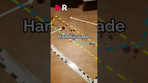 Somalier slog ihjäl sin svenska hustru – Utvisas