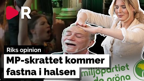 Svenska miljöpartister komma få det svårt i Bryssel