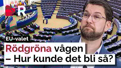 Chockerande valresultatet: Hur tänkte väljarna egentligen?