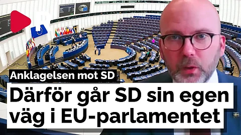 Charlie Weimers (SD): "Vi röstar alltid för ett mindre EU"