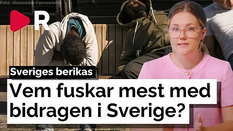 De bidragsfuskar mest — ny studie visar omfattningen