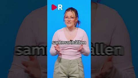 Förstörde Migrationsverket – Nu får han nytt toppjobb i EU