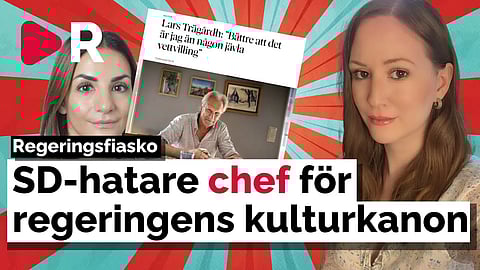 SD-hatare är ordförande för regeringens kulturkanon