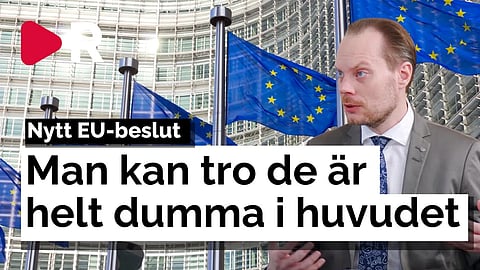 Kritiken mot EU:s klimatplan: Man kan tro de är dumma i huvudet