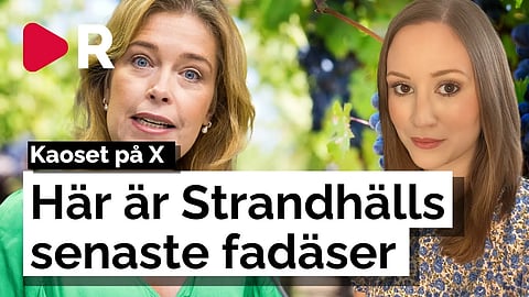 Här är Annika Strandhälls (S) senaste fadäser