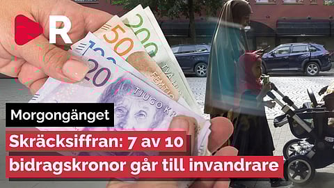 Morgongänget: Skräcksiffran: 7 av 10 bidragskronor går till invandrare