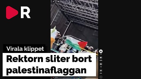 Malmörektorn slet ner palestinaflagga – SD: Vi backar rektorn