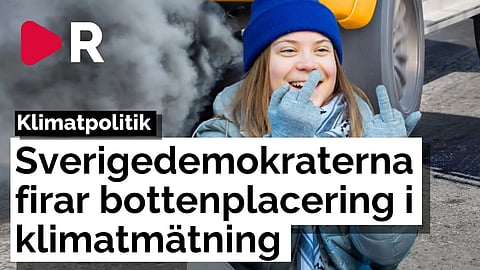 SD får sämst betyg i klimatmätning – "Oroande om vi fått många poäng"