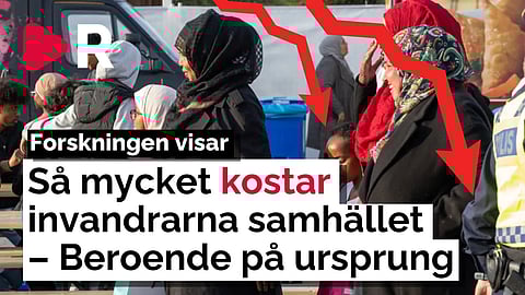 Forskare: Därför kostar vissa invandrare samhället mycket mer