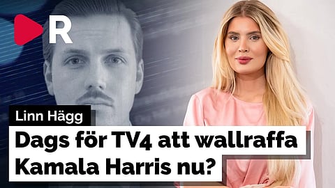 Linn Hägg: Är politiska memes helt plötsligt okej nu?