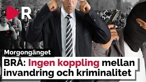 Morgongänget: BRÅ: Ingen koppling mellan invandring och kriminalitet
