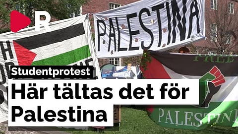 Tältläger för Palestina på universitetet – "Det är yttrandefrihet"