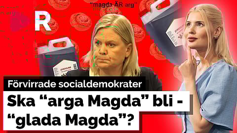 Så långt är Socialdemokraterna beredda att gå för att återfå makten