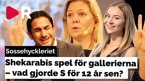 Ardalan Shekarabis spel för gallerierna – vad gjorde S för 12 år sen?