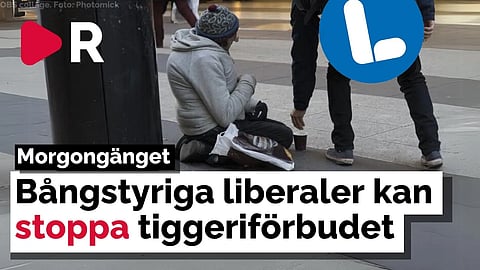 Morgongänget: Bångstyriga liberaler kan stoppa tiggeriförbudet