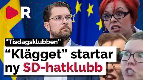 PK-politiker och journalister går samman: Bildar klubb mot SD