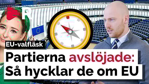 Så har partierna EGENTLIGEN röstat i Bryssel – Hycklar politikerna?