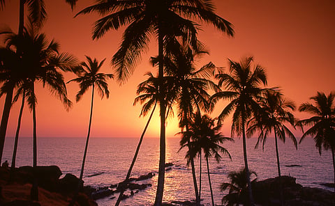 5 Eco-Luxury Escapes for summers