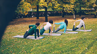 wellness