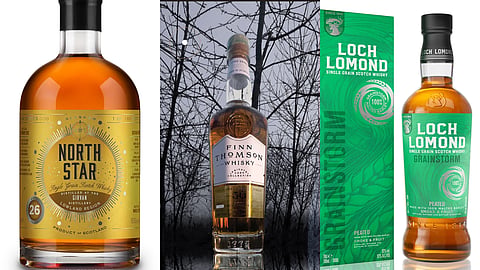 5 Best Single Grain Scotch Whiskies to Know in 2026