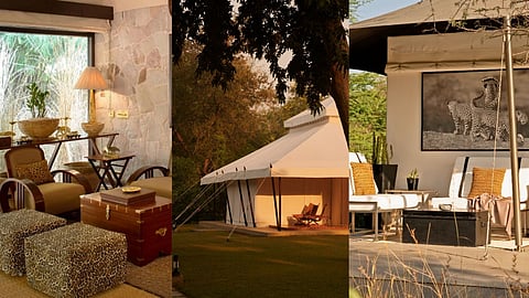 5 Best Luxury Wildlife Resorts In Rajasthan