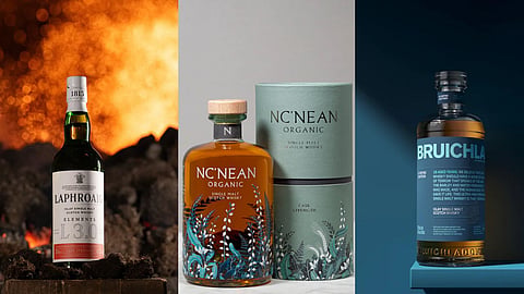 7 Best Whisky Brands In 2026 Johnnie Walker, Laphroaig