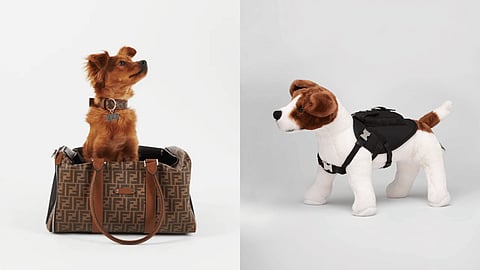 Luxury Pet Accessories