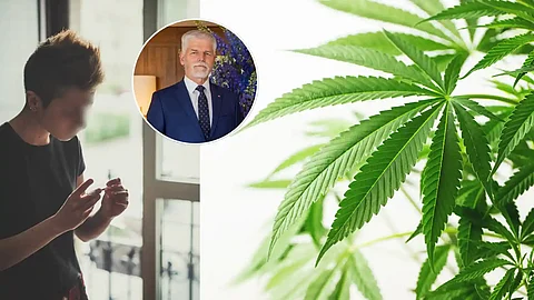 Marihuana bude v Česku legálna, na Slovensku hrozí väzenie.