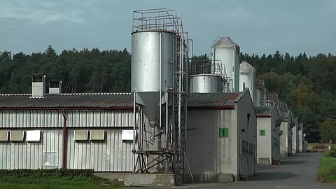 foto Gipsy Televison