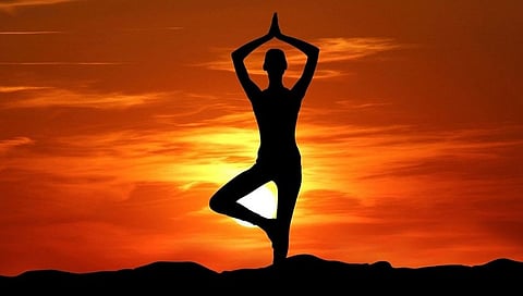 रोगप्रतिकारक शक्ती